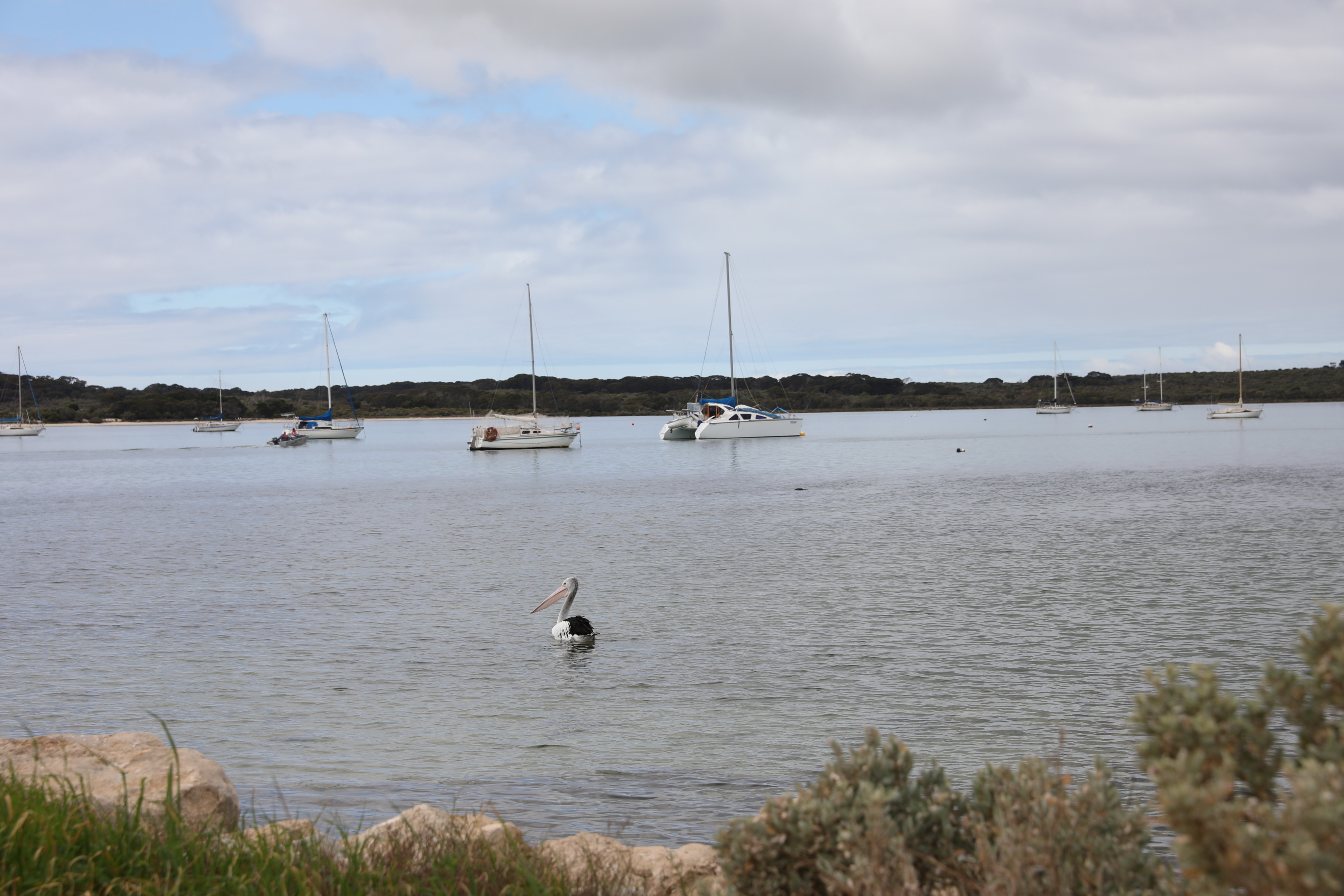 2019 10 07 09 35 50 Canon EOS 5D Mark IV 0005